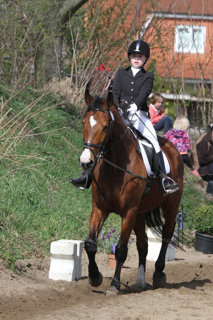 Bild 910 - WBO-Turnier am 9.4.11
